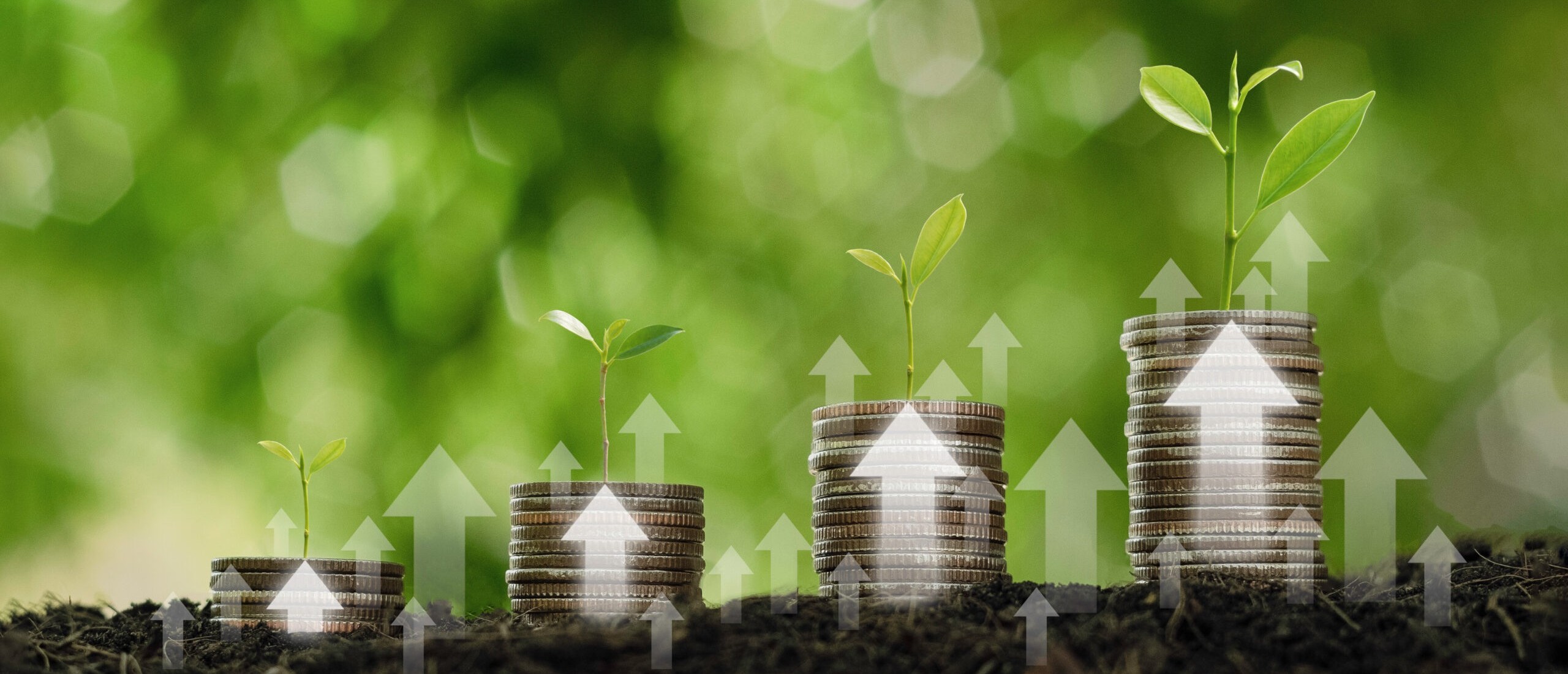 Croissance financière